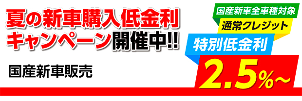 国産新車販売